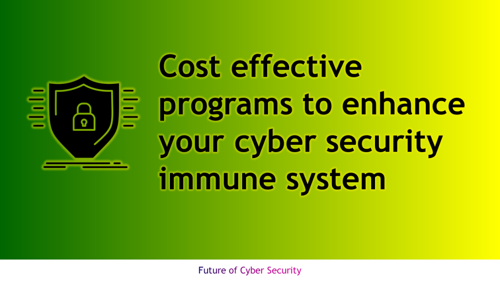 Cost effective programs to enhance cyber security immune system