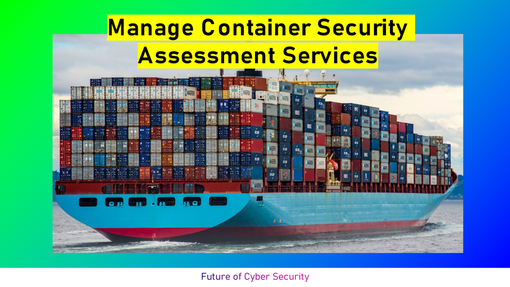 Manage Container Security Assessment Services